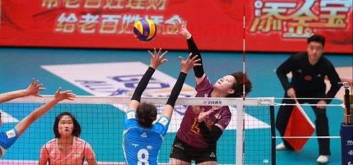 现中国女排队员身高（现在中国女排队员身高）