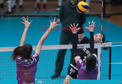 中国女排精英赛冠军奖金（全国女排联赛冠军奖金多少）