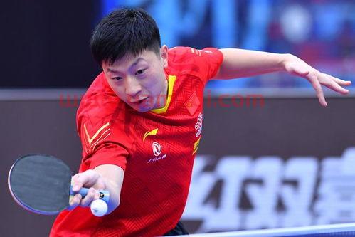 11月5日乒乓球赛程现场视频（11月14日乒乓球比赛结果）