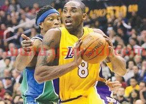 季后赛科比对小牛数据比分（科比对小牛62分）