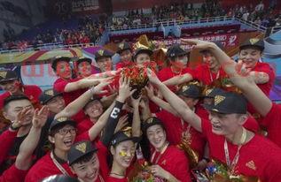 中国女排职业赛比分（中国女排职业联赛直播）