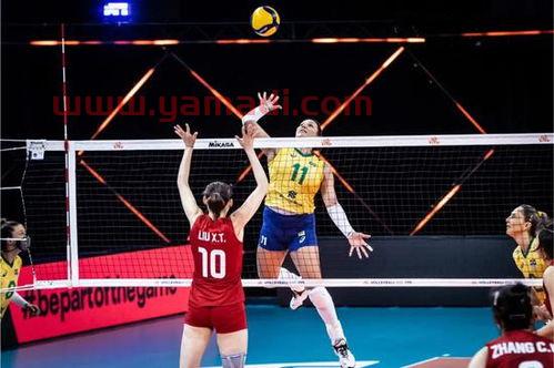 i中国女排对巴西女排（中国女排对巴西队）