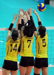 日本专家看中国女排比赛(日本人看中国女排) 日本专家看中国女排比赛(日本人看中国女排)