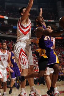 关于g3湖人vs火箭数据统计的信息