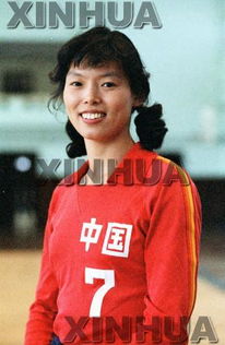 前中国女排队员陈招娣(中国女排队员陈招娣简介) 前中国女排队员陈招娣(中国女排队员陈招娣简介)