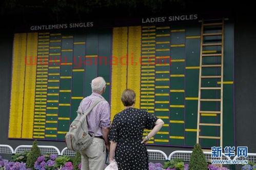 2021温网今日赛程表（2021温网今日赛程表最新）