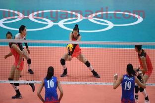 中国女排小组赛名单（中国女排小组分组）