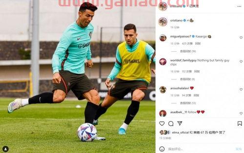 媒晒葡萄牙国家队训练（葡萄牙 训练）