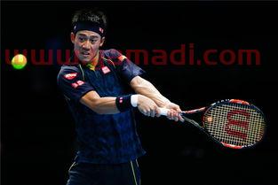 2015atp年终总决赛