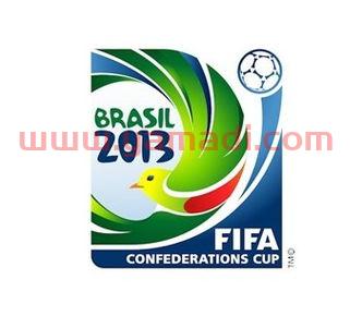 2013年联合会杯