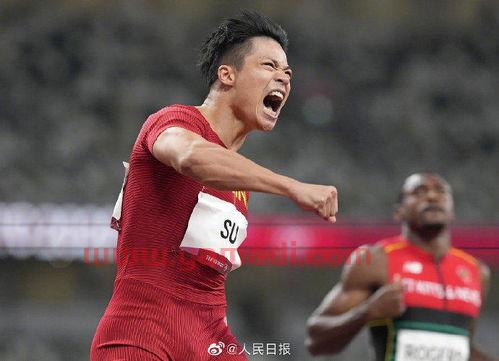 ***评苏炳添