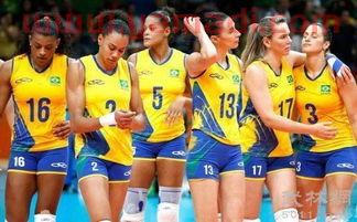 中国女排对电影巴西队（看中国女排对巴西女排）