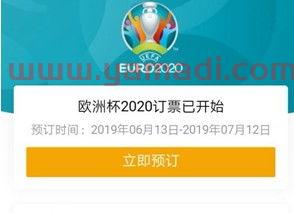 怎么买欧洲杯门票