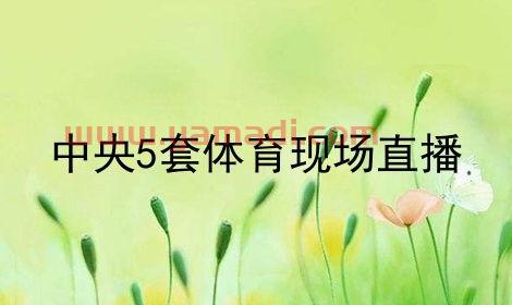 中央5套体育现场直播nba