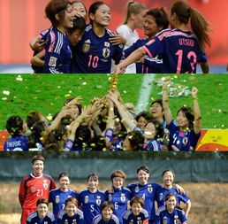 2019年世界杯
