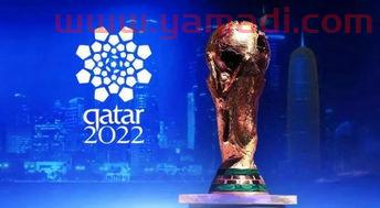 2022年卡塔尔世界杯什么时候举办