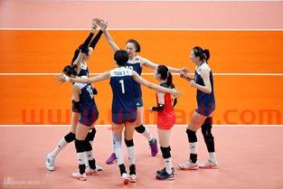 2016奥运会女排半决赛