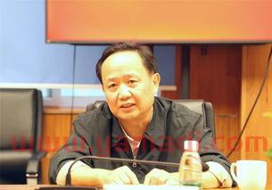马泽平