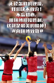 31届奥运会