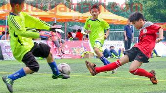 2022世界杯32支球队