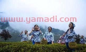 贵州人和官网