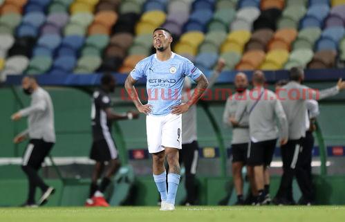 曼城08赛季球员名单(曼城08赛季球员名单最新)