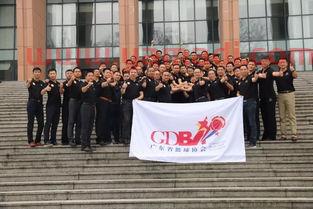 篮球比赛裁判员宣誓词大全(篮球比赛裁判员宣誓稿)