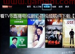 翡翠台直播网